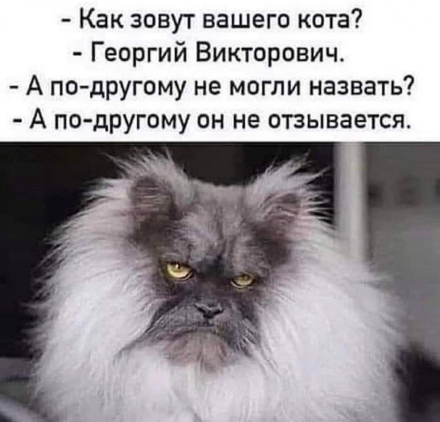 Забавные картинки, шутки из этих ваших интернетов