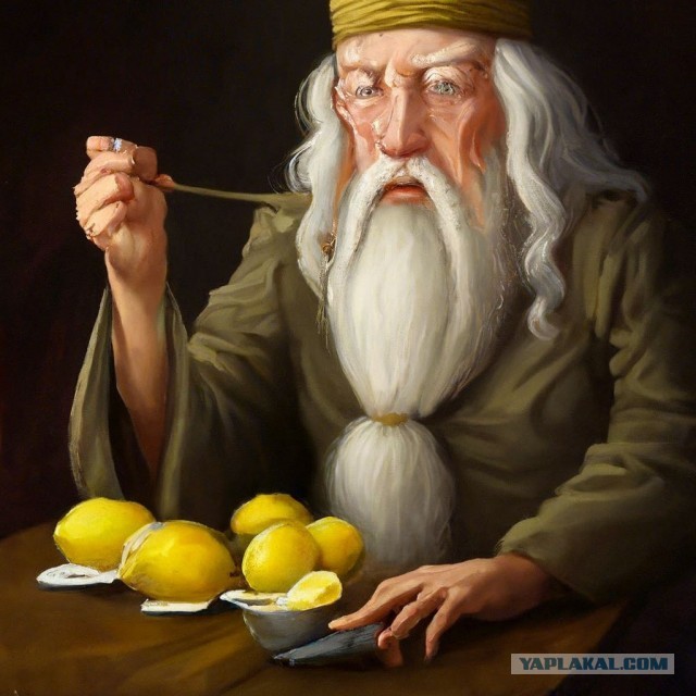 Сообразительный пес