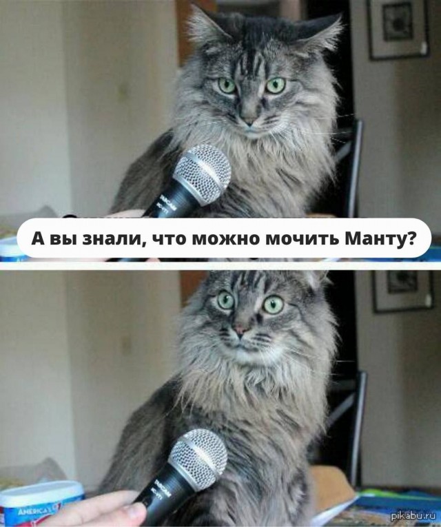 Всего понемногу. От 23.08