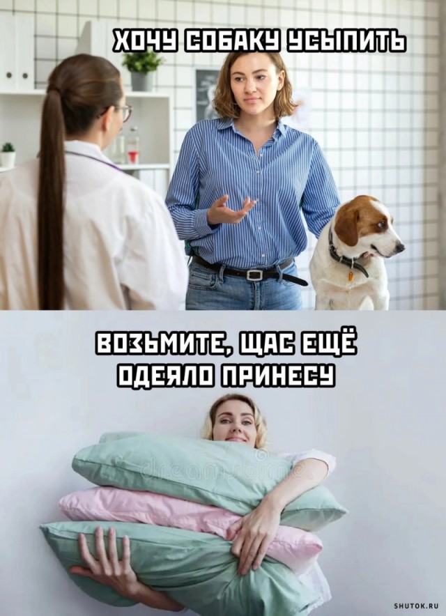 Веселые картинки к понедельнику (23.09)