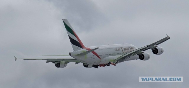 Залипалово. Сядет или нет?