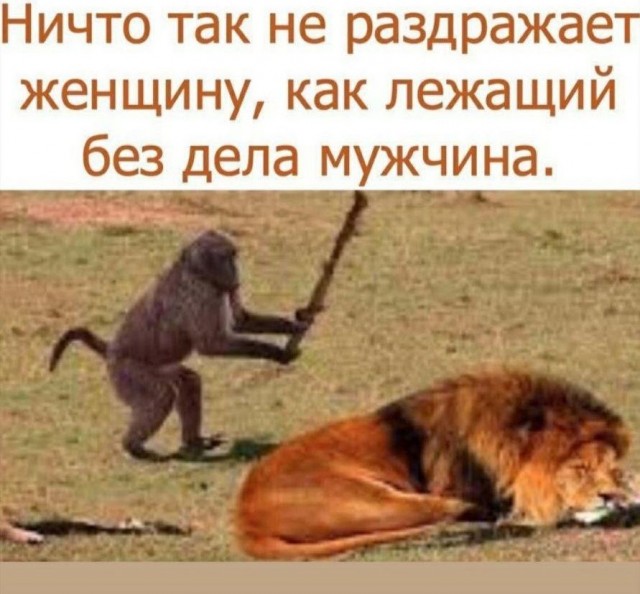 Немного вопросов к женщинам