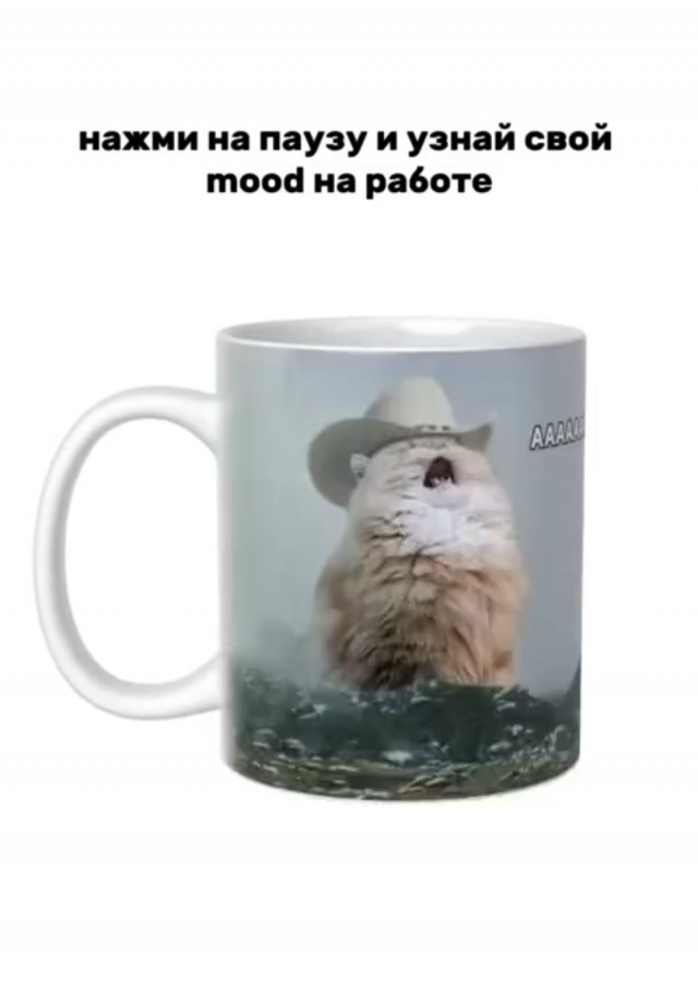 Выбираем своё рабочее настроение на завтра