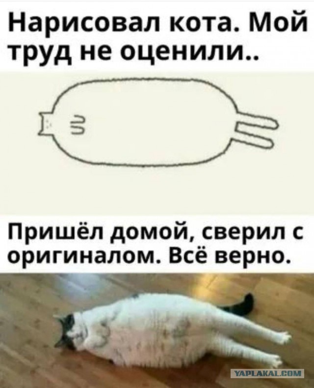 Бэнкси из Краснодара