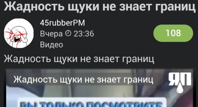 Жадность щуки не знает границ