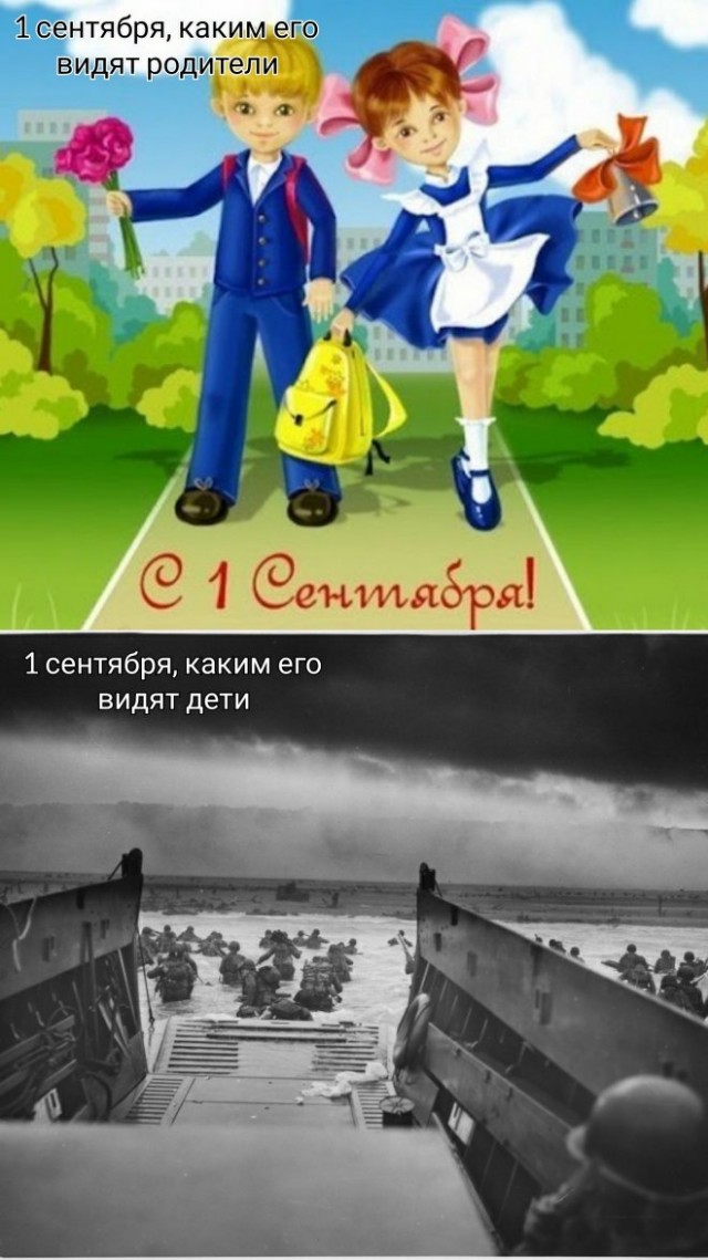 Веселые картинки в маленькую пятницу (03.12)