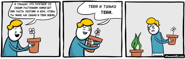 Аспарагусы
