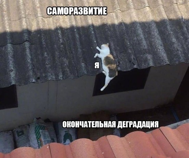 Картинки для деградации 194 (разной степени свежести)