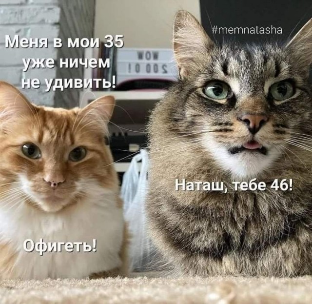 Найди себе уже мужика, Наташа!
