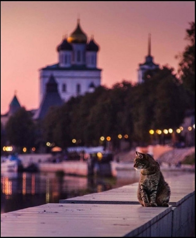 Так себе картинки 30.06.26