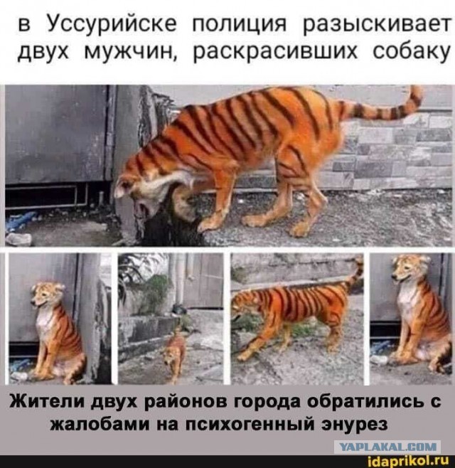 Нервный энурез