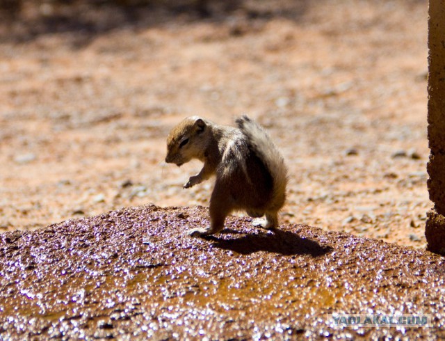 28 самых удачных кадров февраля