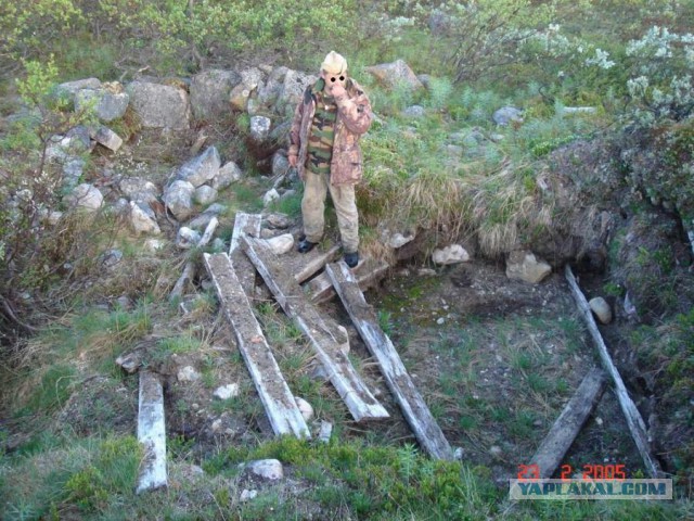 Отчет Банды маргиналов или трэш на Северах