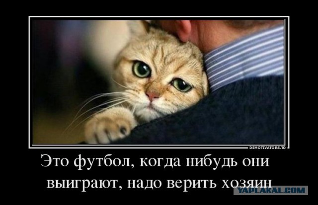 36 тысяч коту под хвост....