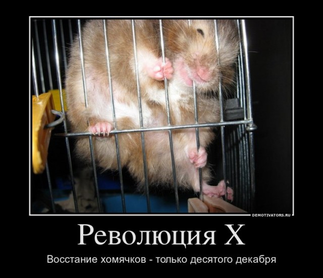 Митинг 10 декабря