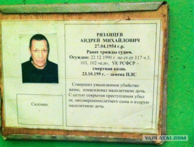 Смертники "Крестов"