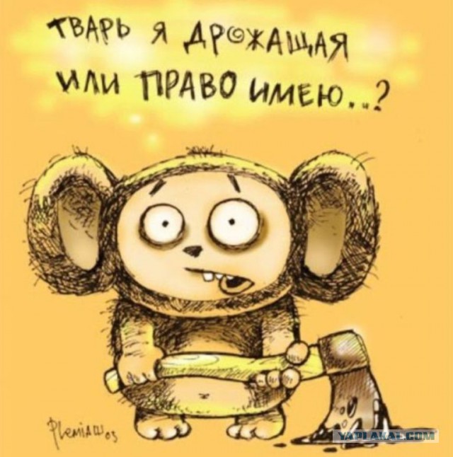 Синдром Плюшкина