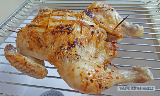 Курица с кленовым сиропом и стручковая фасоль в томате