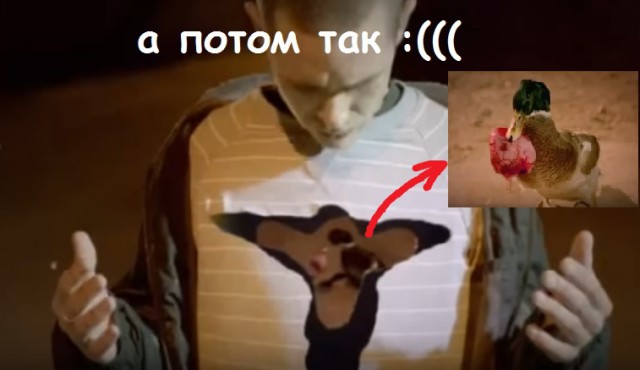 Подборка интересных и веселых картинок