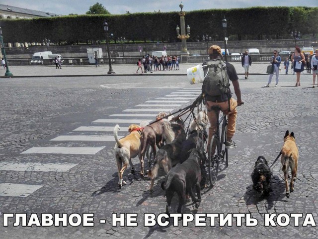 Смешные картинки