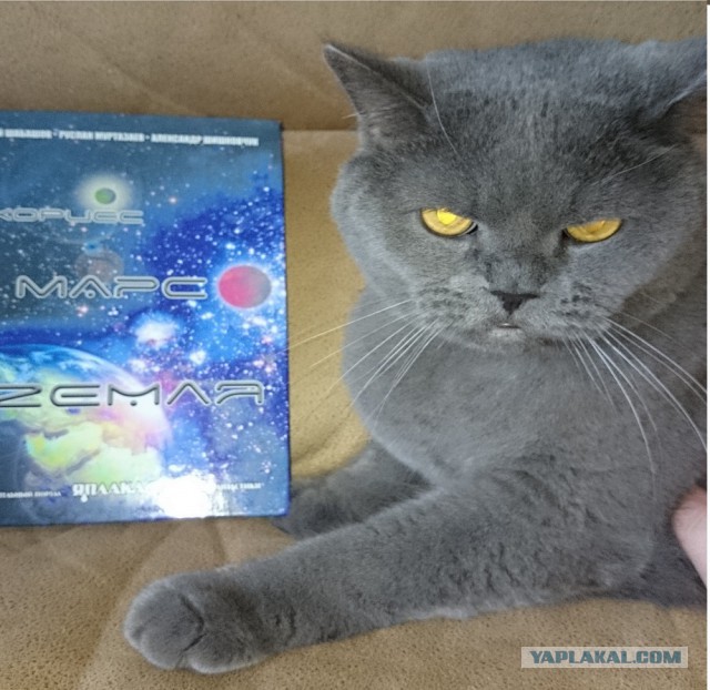 Смеркалось© часть 2 - Корисс-Марс-Земля