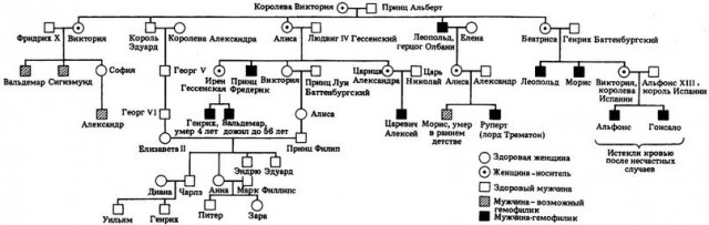 Как Третий рейх убивал больных детей. Операция «Тиргартенштрассе-4»