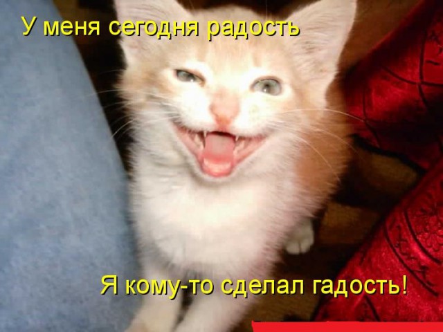 Извечная мужская тема ЯПа - Чего хотят женщины