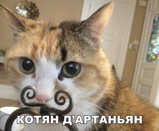 Нестандартный юмор