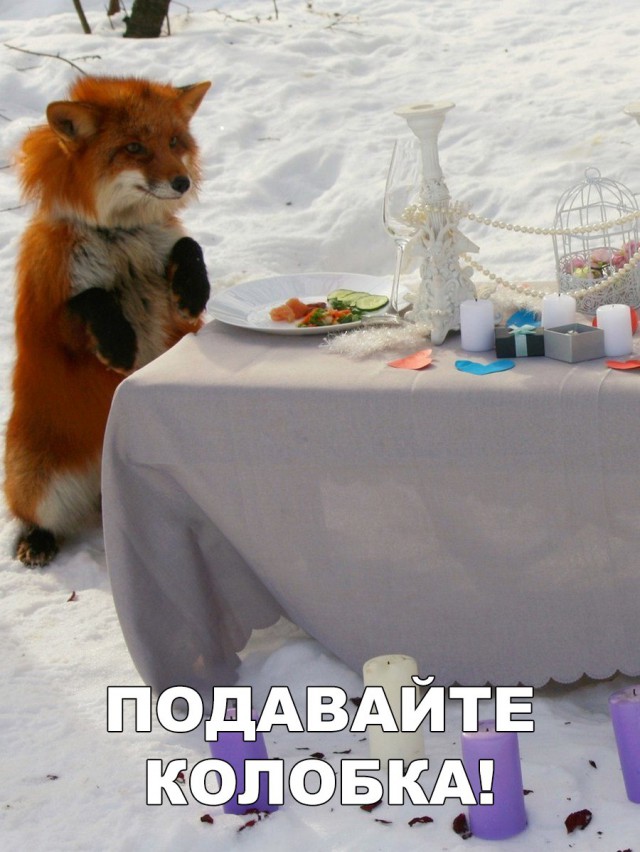 Нестандартный юмор