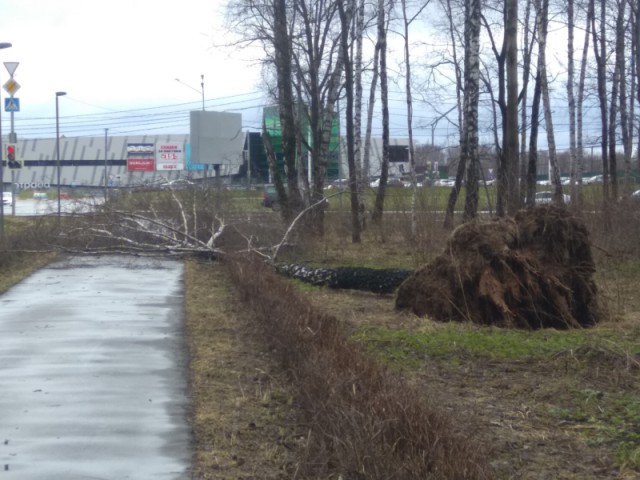 У кого чего сегодняшний ураганчик поломал?