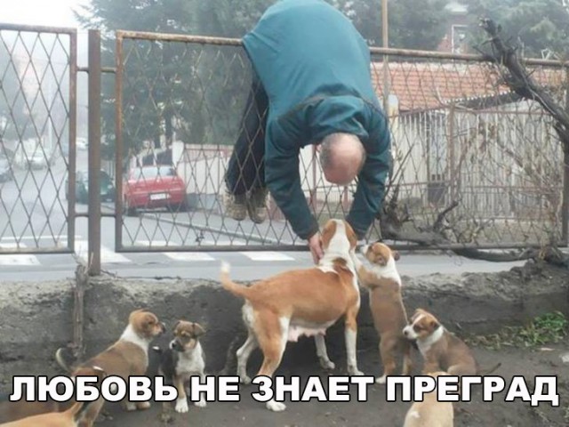 Прикольные картинки