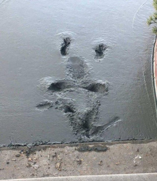 Веселые картинки из-за бугра #7