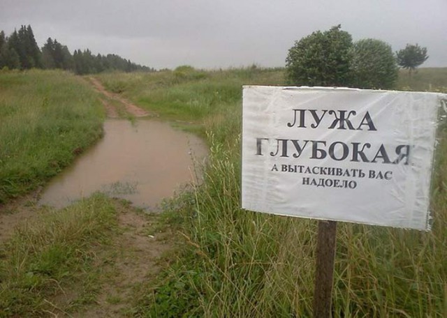 Калейдоскоп картинок