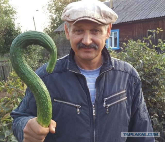Когда это намного больше, чем мы привыкли видеть