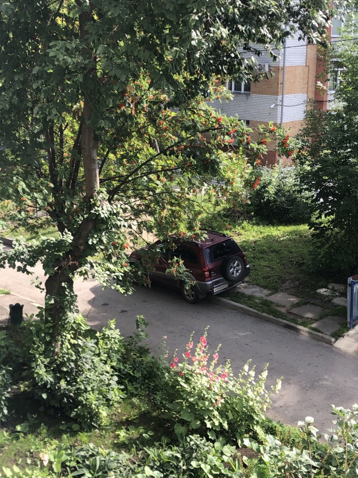 Меня сегодня бомбануло