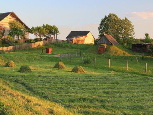 Август в деревне