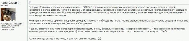 Помогите вернуть кота! Приют "Преданное сердце" украл кота и не отдает!-2
