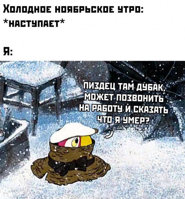 Немного картинок для настроения 22.11.19
