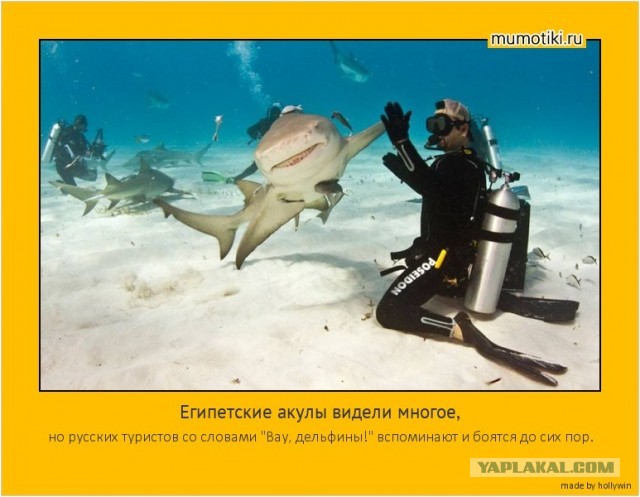 Смелость и отвага - уровень 99
