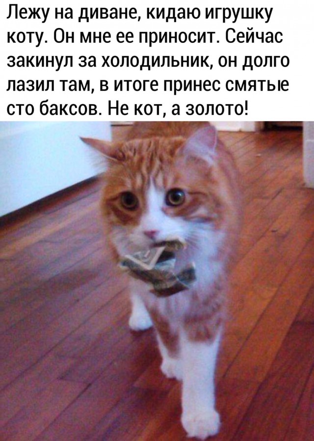 Немного картинок для настроения 28.04.20