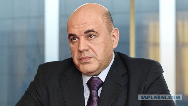 Доберман: 50% не доживают до 9 лет. В чём проблема «Идеального охранника»?