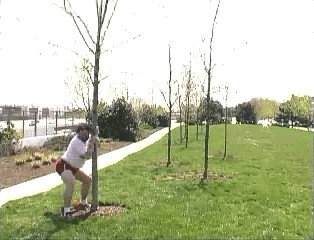 Танцы будущего