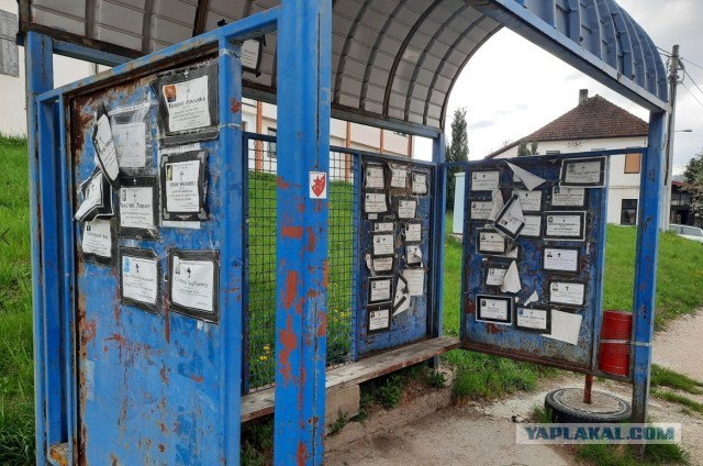 В Сербию на майские. Сложное, но увлекательное путешествие в пандемию