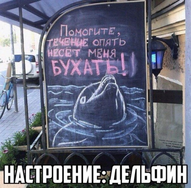 Алкопост 13.08.21