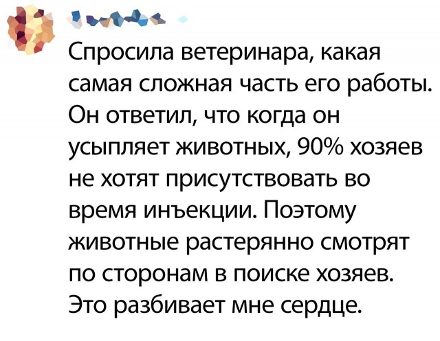 Ветеринар о самом главном