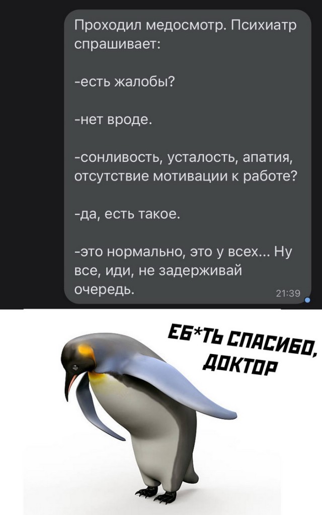 Картинки и мемы для настроения 13.10.2021