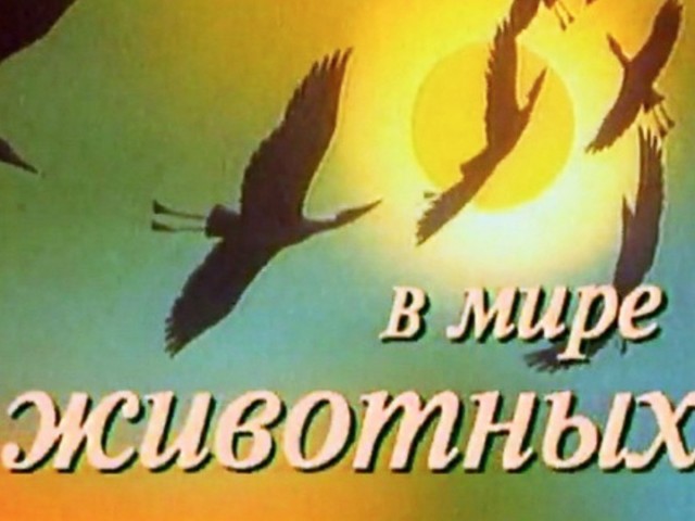 Мощная драка в Кемеровской области с участием мужчин, женщин, детей и кого только не