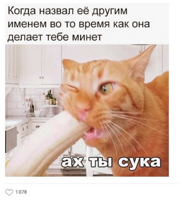 Пятница. И немного слегка пошлых картинок с надписями и без 16+ (18.02)