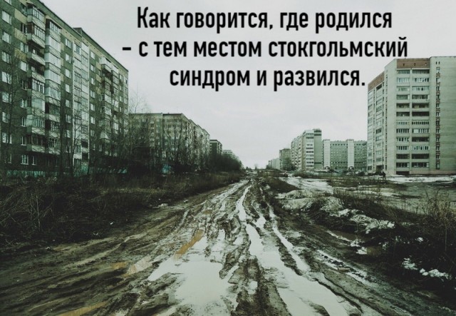 Просто картинки 20шт