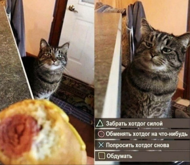 Все, что нужно, для успешной Деградации человека